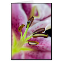 Perfect Pink Card