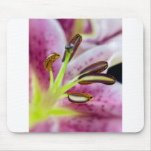 Perfect Pink Lilly Mousepads