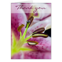 Perfect Pink, Thank you Greeting Card