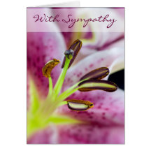 Perfect Pink, With Sympathy Greeting Cards