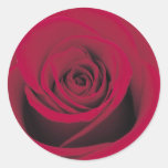Perfect Red Rose Sticker
