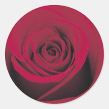Perfect Red Rose Stickers