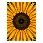Perfect Sunflower Postcard