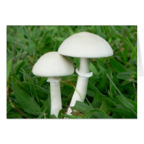 Perfect Whiecouple, Mushrooms Cards
