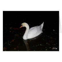 Perfection, S Cyr Greeting Cards