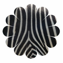 Perfectly Zebra Print Whimsical Flower Acrylic Cut Out