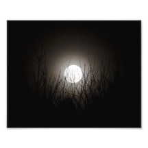 Perigee Photo Print