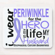 Periwinkle For Hero 2 Husband Esophageal Cancer Mouse Pads