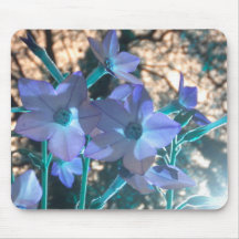 Periwinkle N Teal Nicotiana mousepad