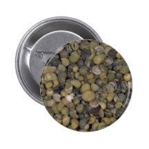 Periwinkles Shell Pinback Button