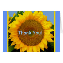 Perky Sunflower