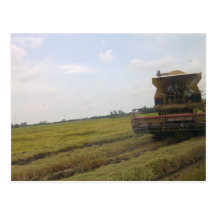 Perlis Permai Lagi Mempesona Postcard