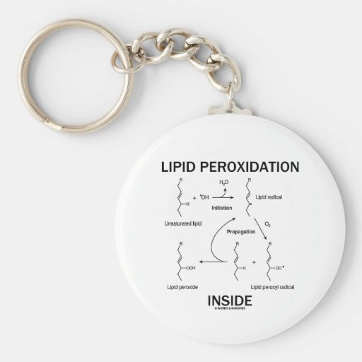 Peroxydation de lipide à l'intérieur porte-clés