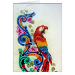 perroquet carte