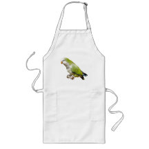 Perroquet de quaker tablier