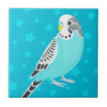 Perruche douce d'oiseau carreaux