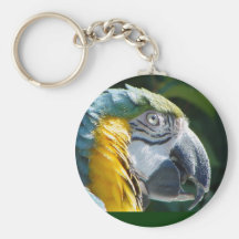Perry Keychain