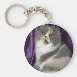 Persan, bleu, tortie et blanc porte-clés