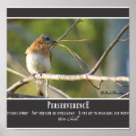 Perserverence Posters