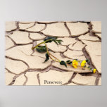 Persévérez Posters