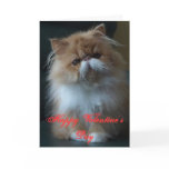 Persian Cat Happy Valentine's Day Greeting Cards