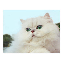 Persian Cat with Jade Eyes Postcard