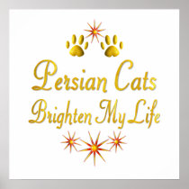 Persian Cats Brighten My Life Posters