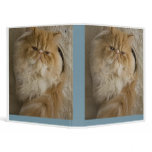 Persian Kitten binders