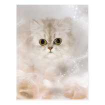 Persian kitten face postcards
