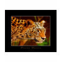Persian Leopard Gift Series t-shirts