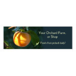 Persimmon fruit business card