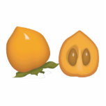persimmon cut outs
