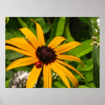 Personal Sunshine Poster