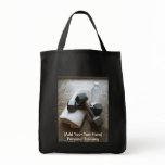 Personal Trainer or Fitness Dumbells Towel & Water bags