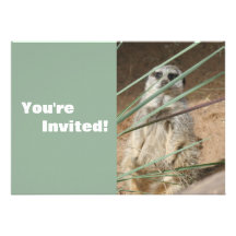 Personalized Adorable Meerkat Zoo Birthday Party Personalized Invitation