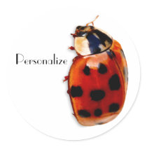 Personalized Cute And Clasy Little Ladybug