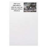 Personalized Golf Stationary stationery