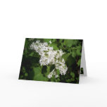 Personalized Mother's Day Lilac Card