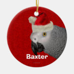 Personalized Parrot Christmas Ornament ornaments