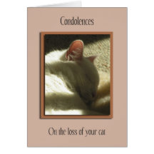 Perte de sympathie d'animal familier de carte de c