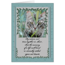 Perte de sympathie d'animal familier de chat carte de vœux