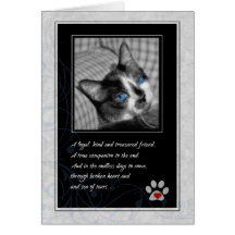 Perte de sympathie d'animal familier de chat carte