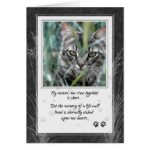 Perte de sympathie d'animal familier de chat tigré cartes de vœux