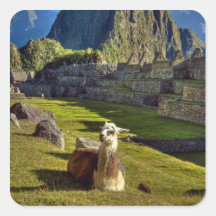 Peru, Andes, Andes Mountains, Machu Picchu, 2 Stickers