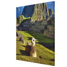 Peru, Andes, Andes Mountains, Machu Picchu, Stretched Canvas Print