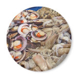 Pescado Fridge Magnets