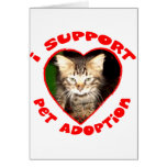 Pet Adoption Kitty Card