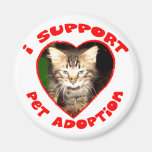 Pet Adoption Kitty Refrigerator Magnet