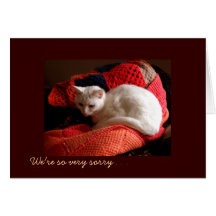 Pet Cat Sympathy Card
