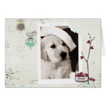 Pet Christmas Photo Card